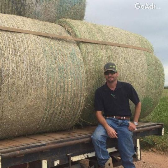 100% Dried Alfalfa Hay2 .