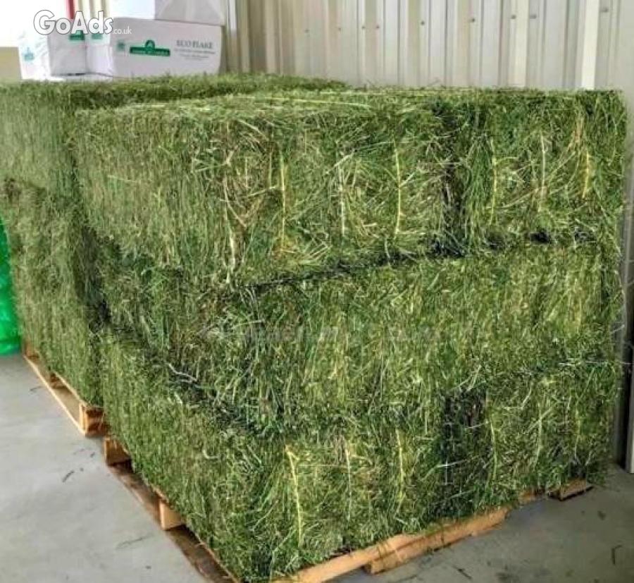 100% Dried Alfalfa Hay.