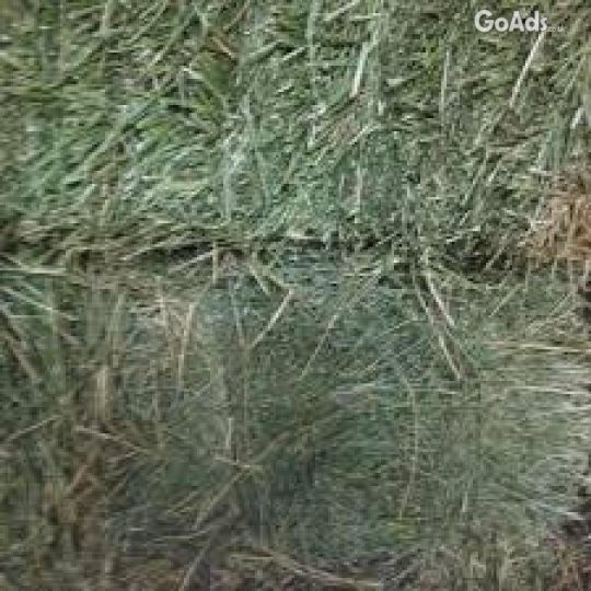 Alfafa Hay, Hay Animal Feed, Hay Feed Hay.