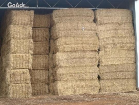 Alfafa Hay Wheat Straw Hay2