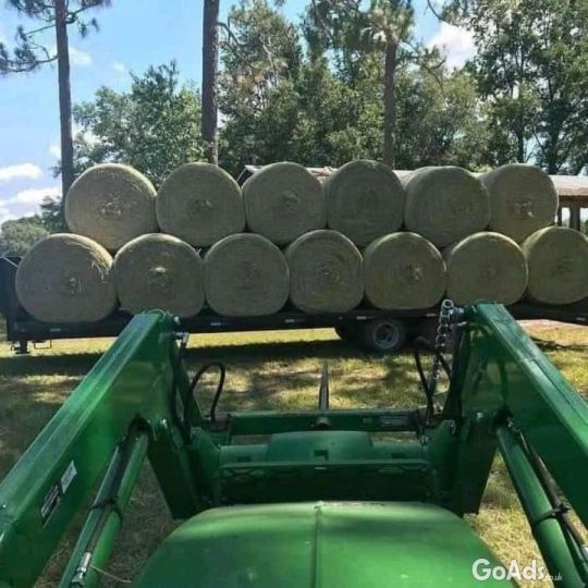 Alfalfa Hay Bales. Alfalfa Cubes, Alfalfa Pellets .