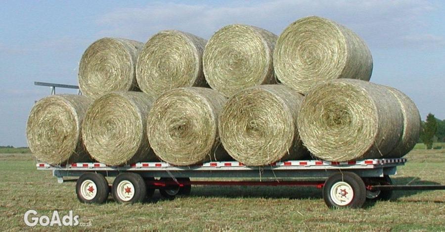 Alfalfa Hay for Animal Feed .