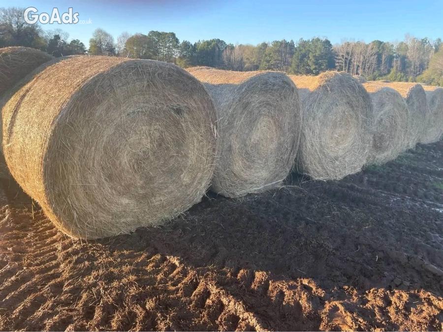 Alfalfa Hay Pallet for Animal Feed. Best Quality.