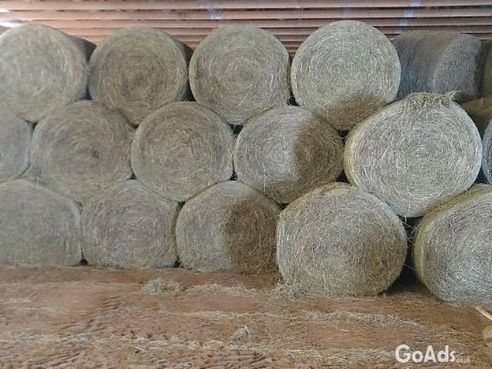 Alfalfa Hay Pellets.