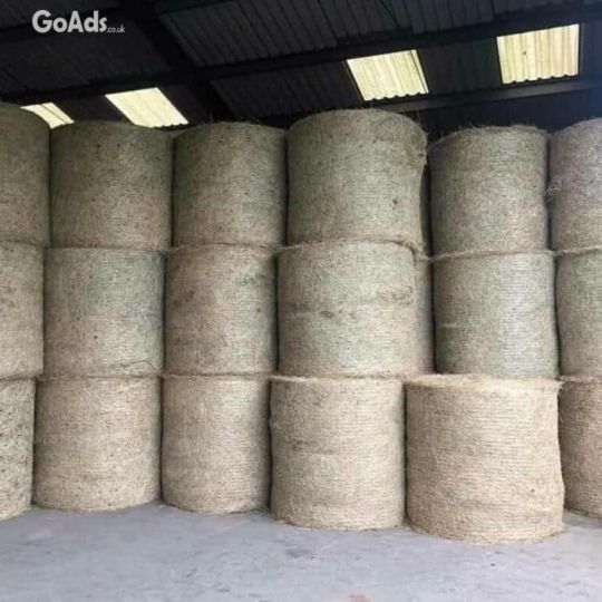 Animal Feed and Chicken Feed, Alfafa Hay for Sale .