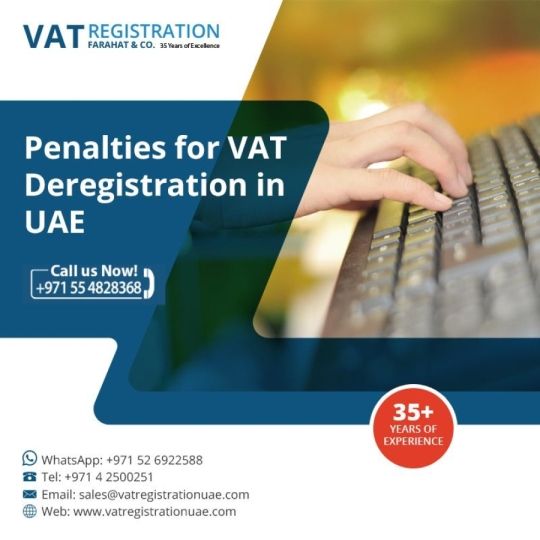 Avoid penalties on Delayed Vat return. Contact us now