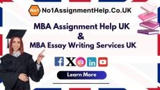 Best MBA Assignment Help In UK Style At No1AssignmentHelp.Co.UK