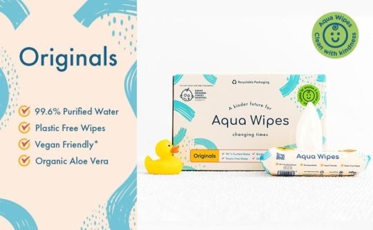 Biodegradable Wet Wipes UK for a Home with No Mess