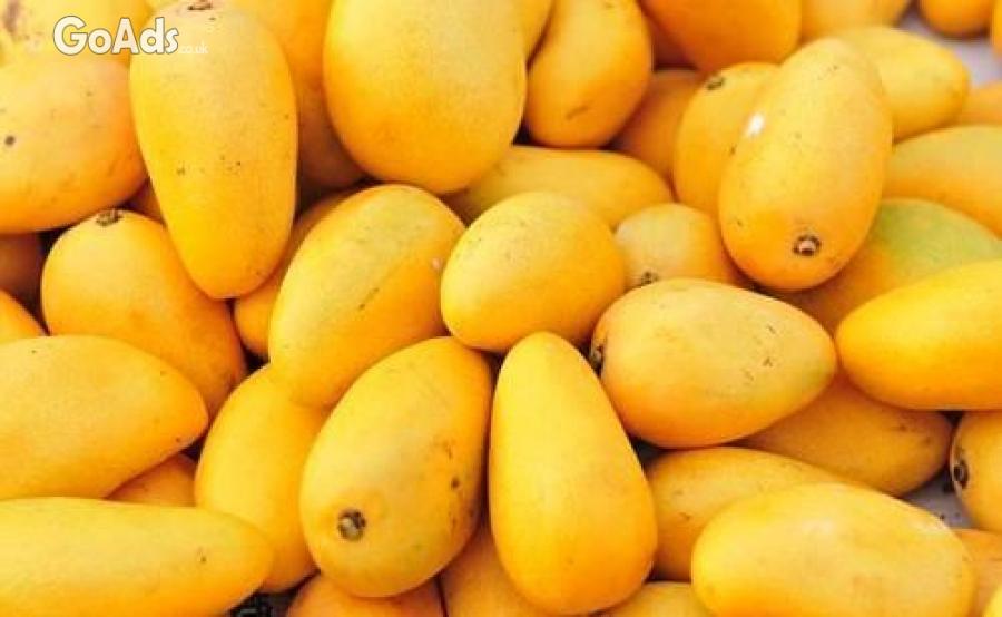 Buy Different Varieties of Mangoes in Large Quantities from Online