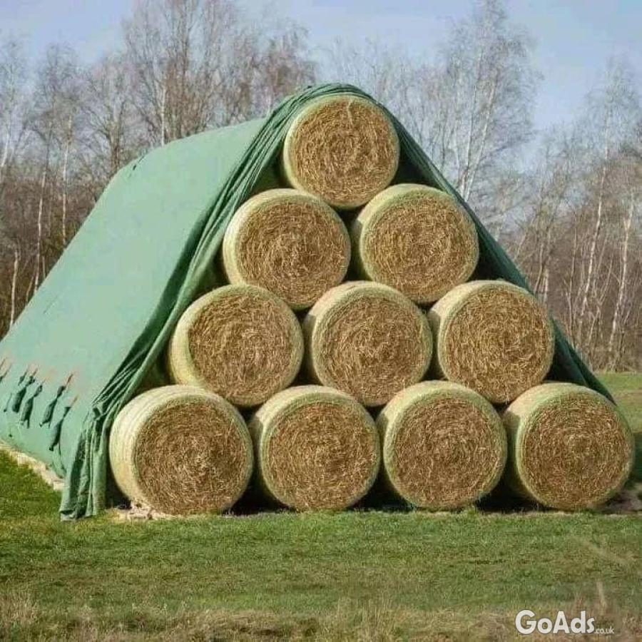 Buy Rhodes Grass Hay Bales for Animal Feed .