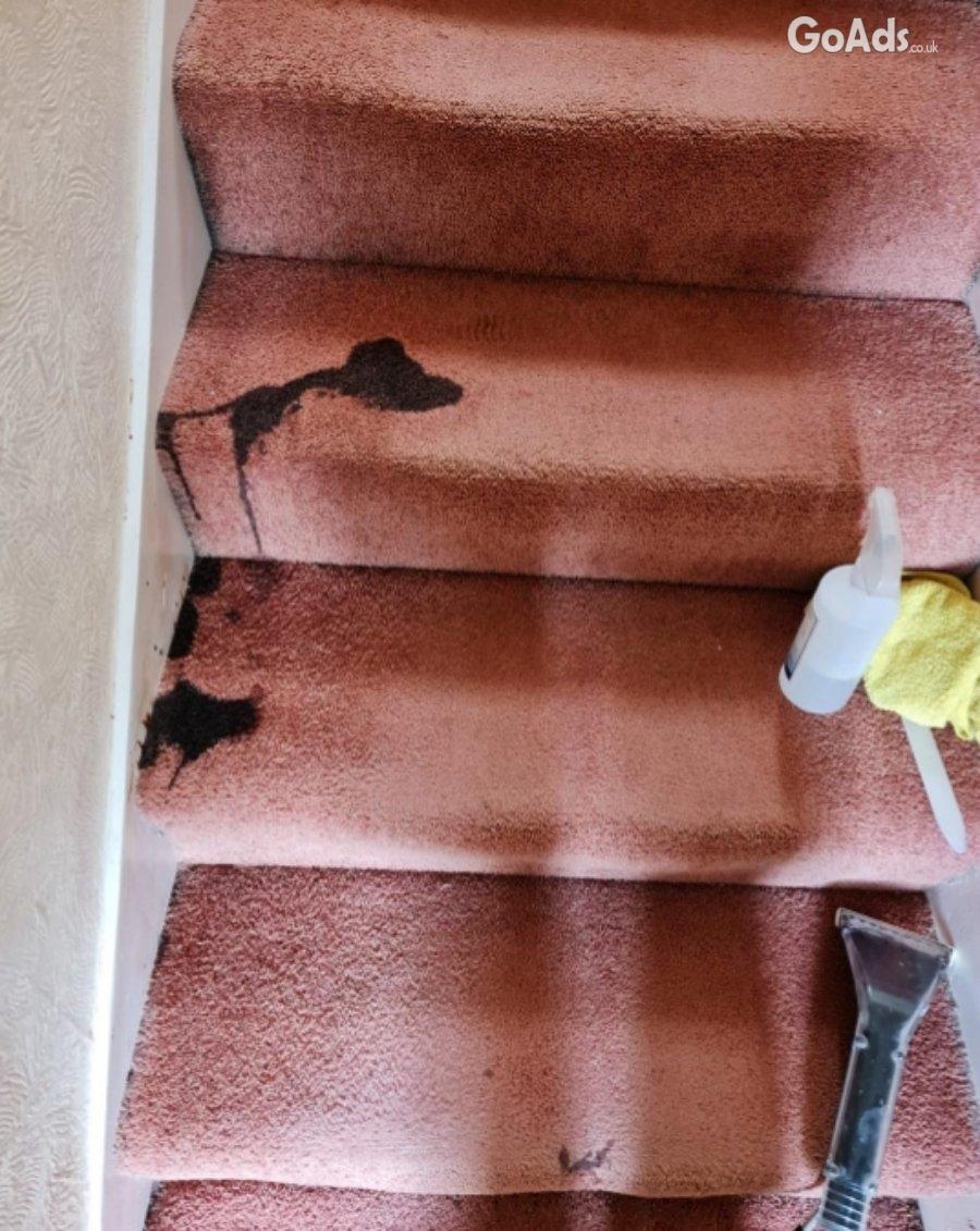 Carpet Pro UK – Trusted UK Carpet Cleaning Specialists