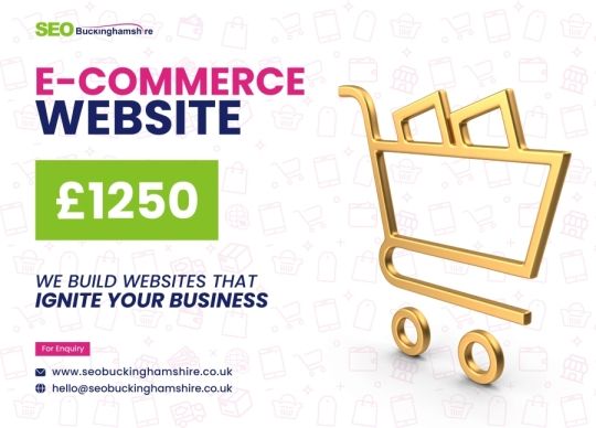 Ecommerce Website Design Offer