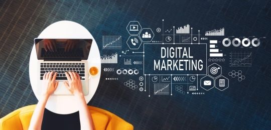Elevating Your Online Presence