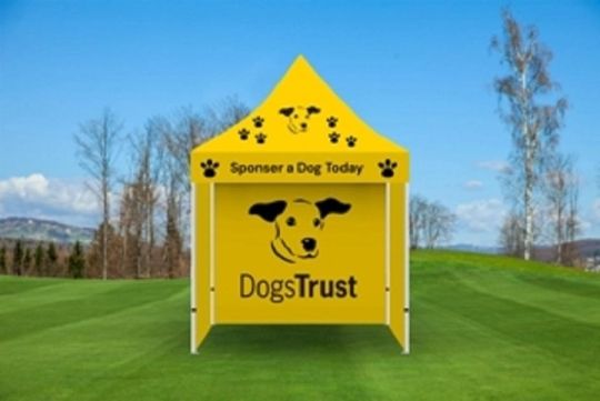 Experience Outdoor Promotion Like Never Before with Our Branded Gazebo