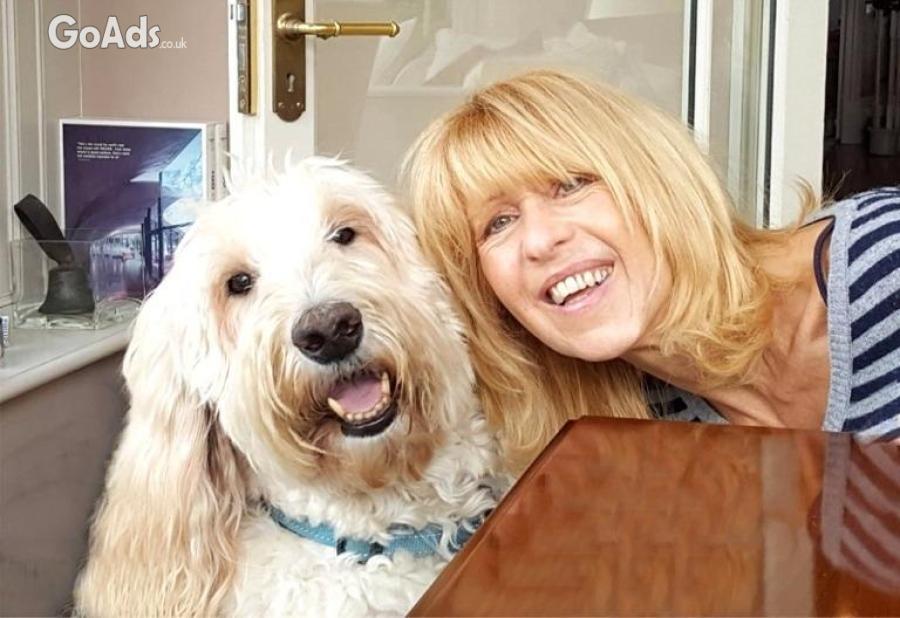 Experienced House and Pet Sitters in Norfolk