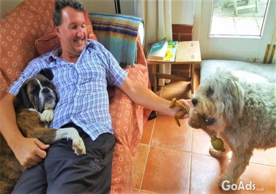 Experienced House and Pet Sitters in Norfolk