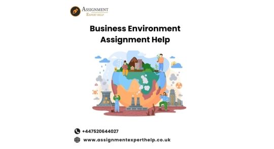 Get the Premium Business Environment Assignment Help Services for Your