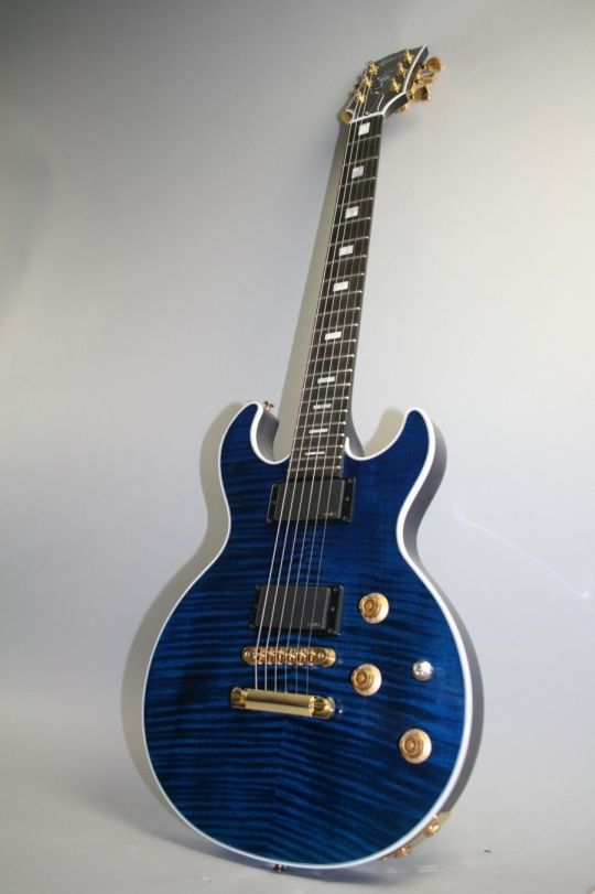 Gibson longhorn