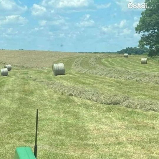 Hay Pellets for Animal Bedding .