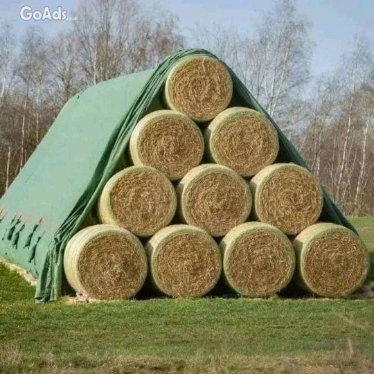 Hay Pellets for Bedding .