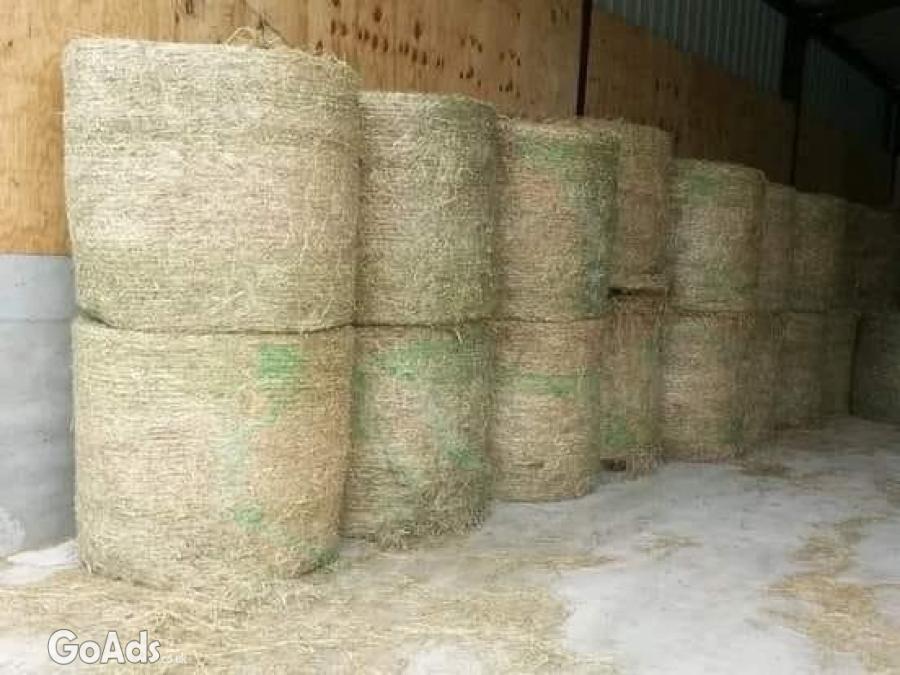 High Protein Sun Dried Alfalfa Hay.