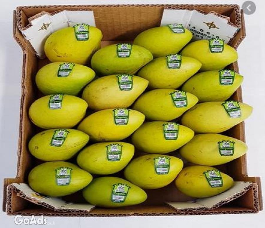 Mango Distributors Deal with Different Varieties of Mangoes 365 Days