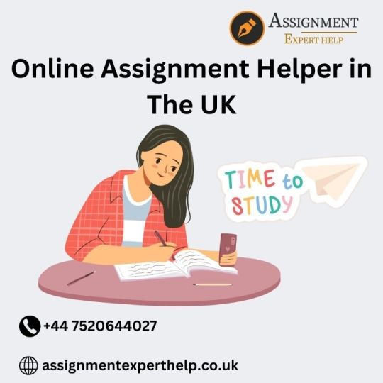 Online Assignment Helper in The UK