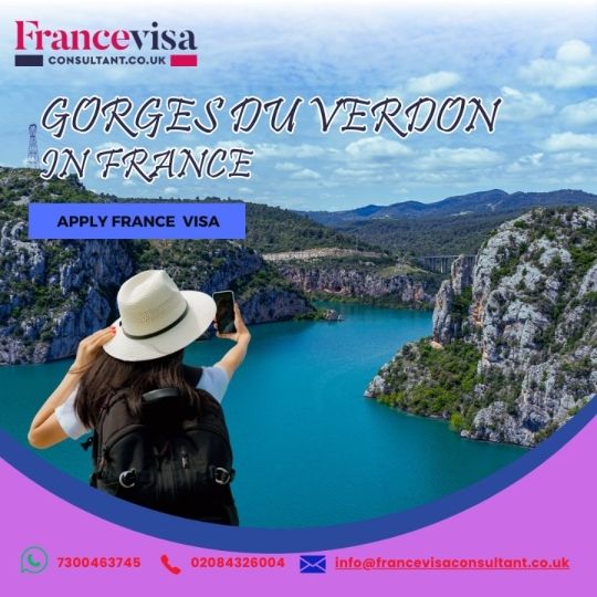 Online France visa Visa