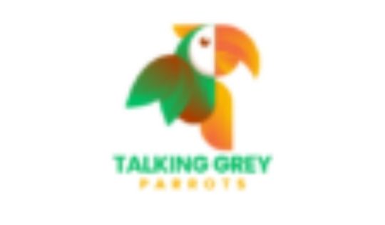 Parrots for Sale in UK | Where to buy a Parrot near Me 2024-2025