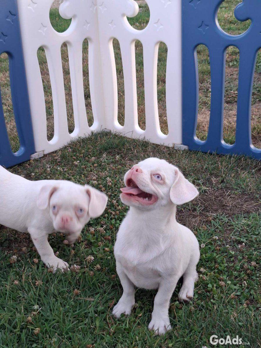 Pink....for sale