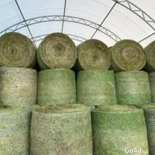 Premium Grade A Alfalfa Hay, Timothy Hay, Animal Feed .