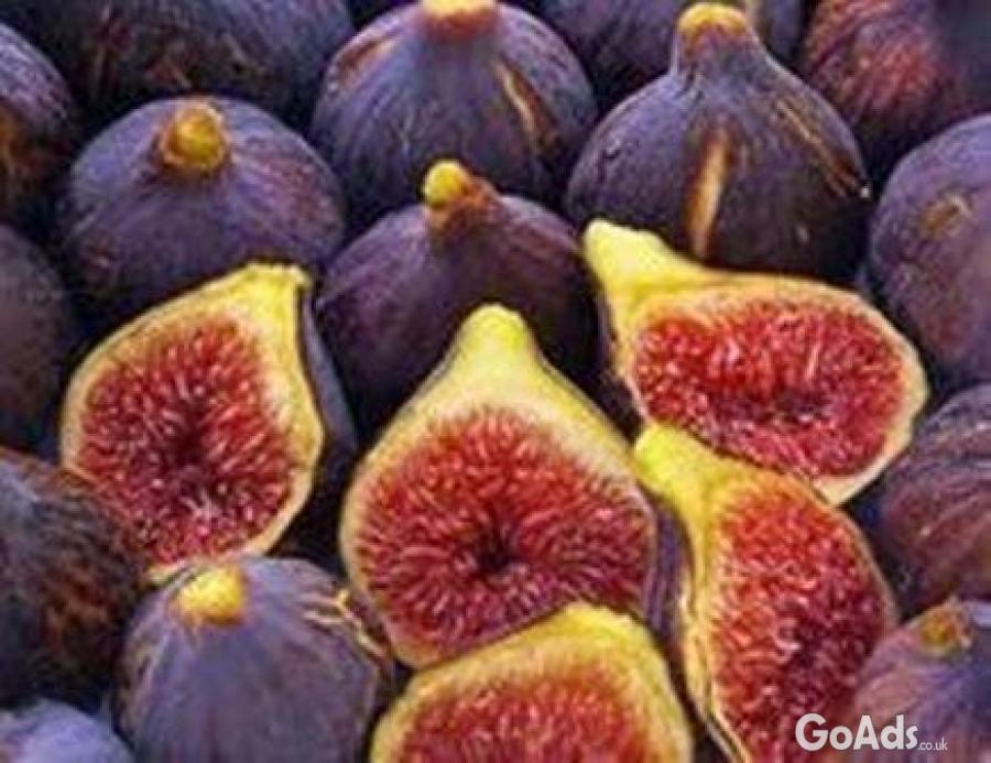 Purchase Figs from Online Suppliers & Relish their Tastes in Distinct
