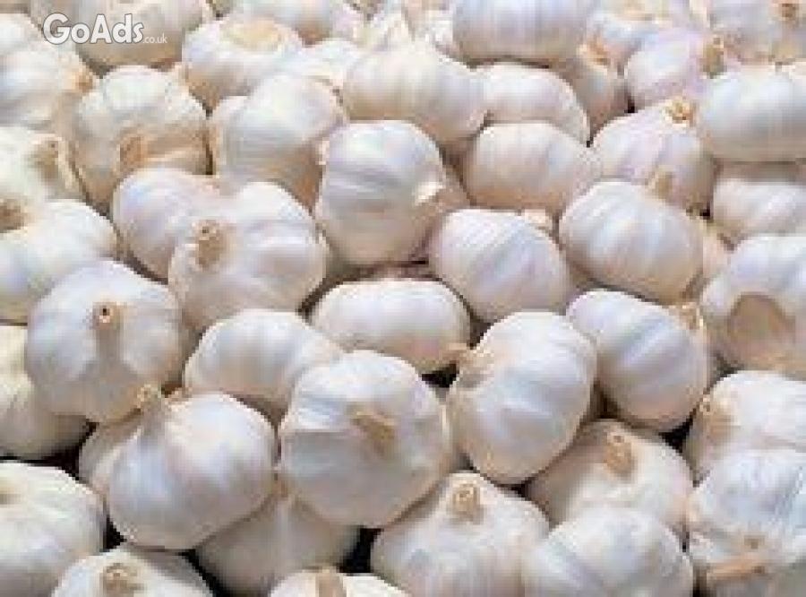 Purchase High-Grade Garlic from Online Suppliers to Grow in your Garde