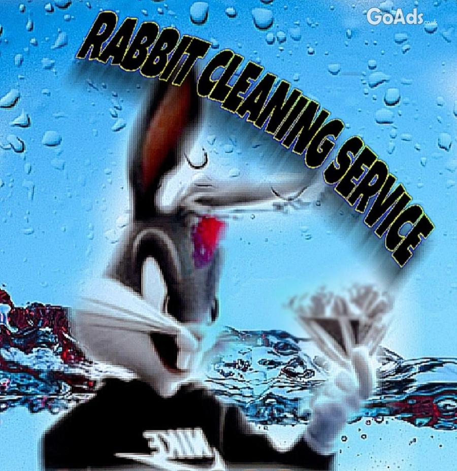 Rabbit Cleaning service local in Nottingham
