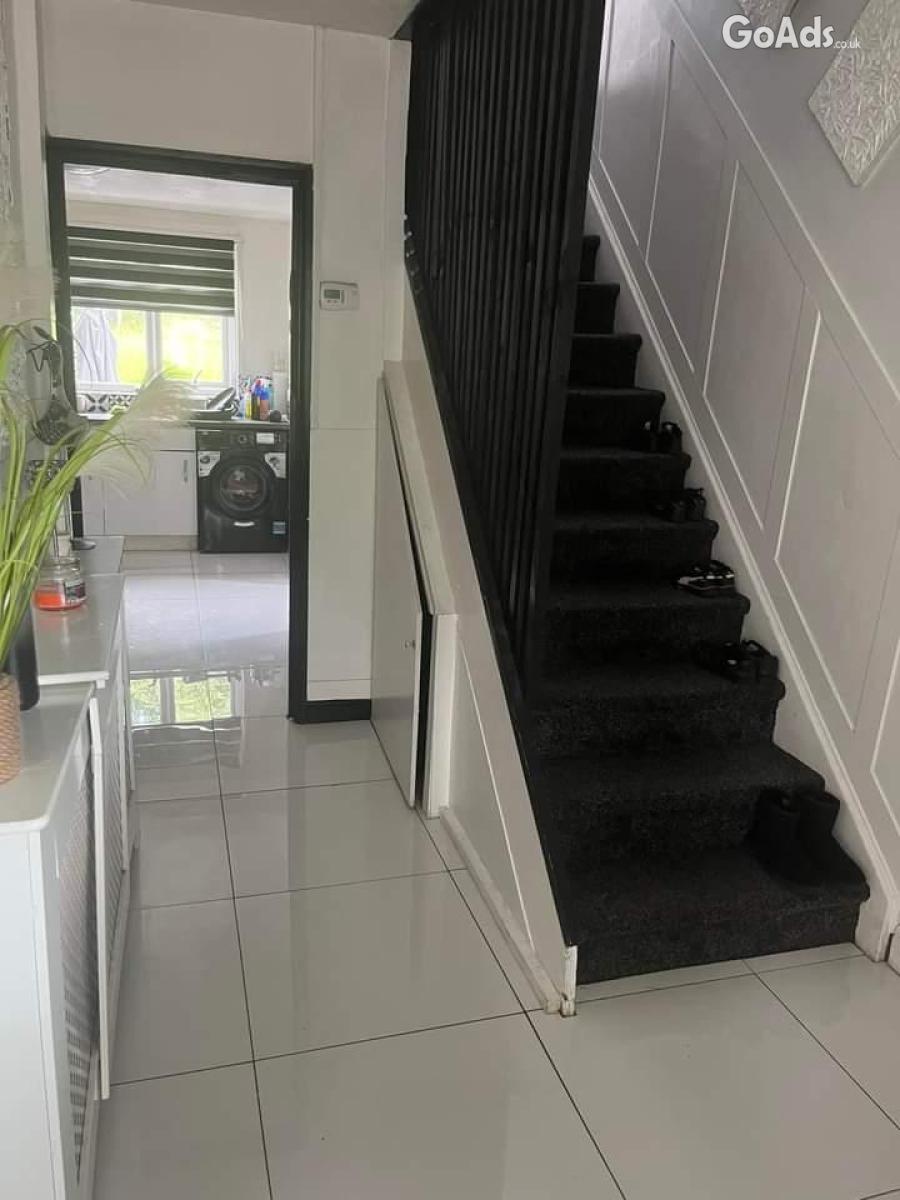 Rabbit Cleaning service local in Nottingham