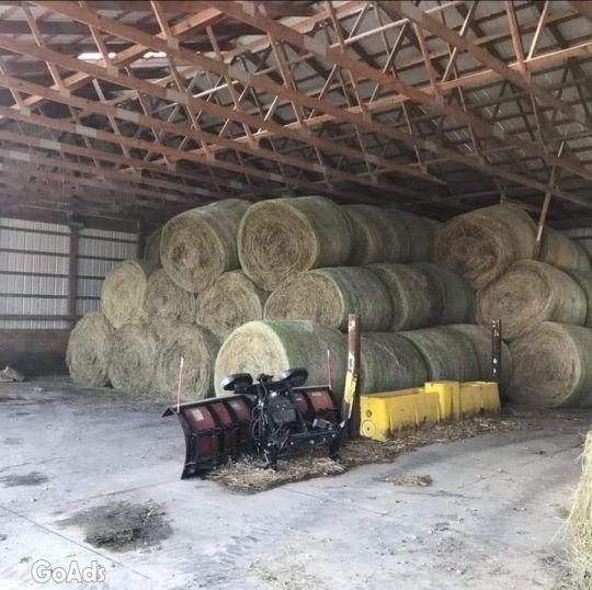 Rhode Grass Hay / Alfalfa Hay/Timothy Hay for Animal.