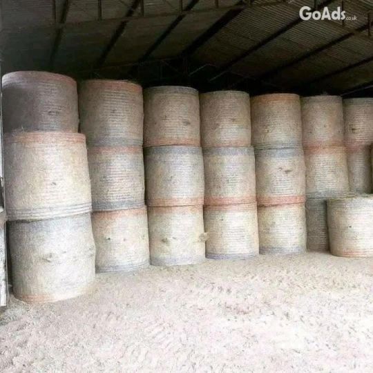 Rhodes Grass Hay and Alfalfa Hay Animal Feed .