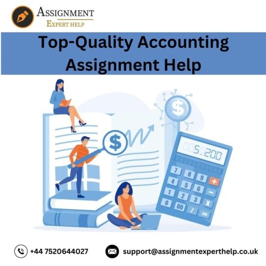 Searching for Top-Quality Accounting Assignment Help