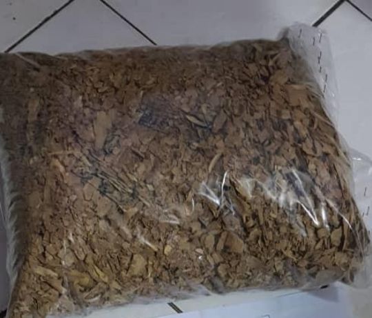 Tabernanthe iboga Root Back for sale
