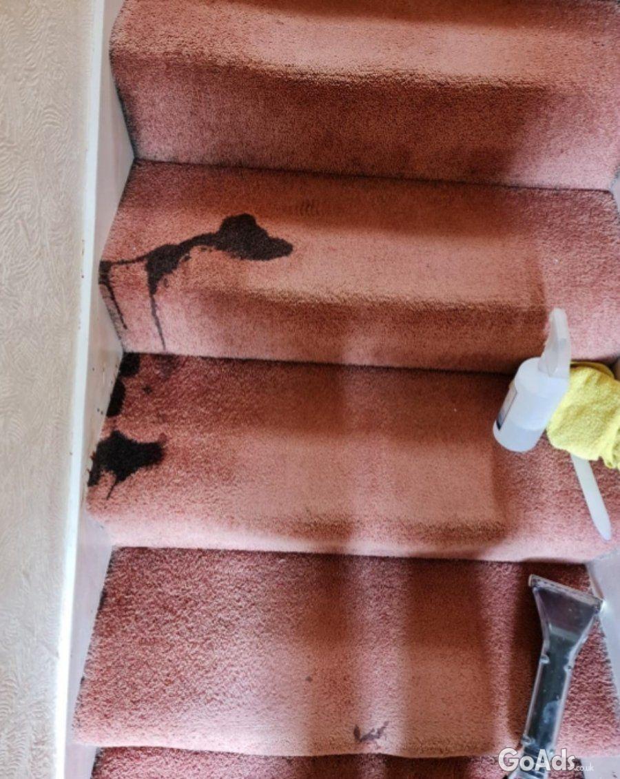 Top-Rated Cleaners in Maidstone Kent – Carpet Pro UK