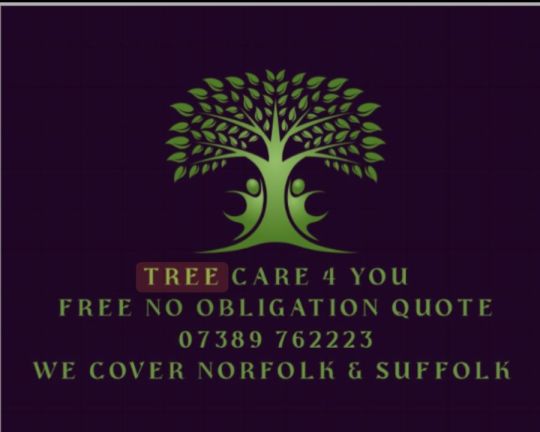 Tree care 4 you &. Landscaping
