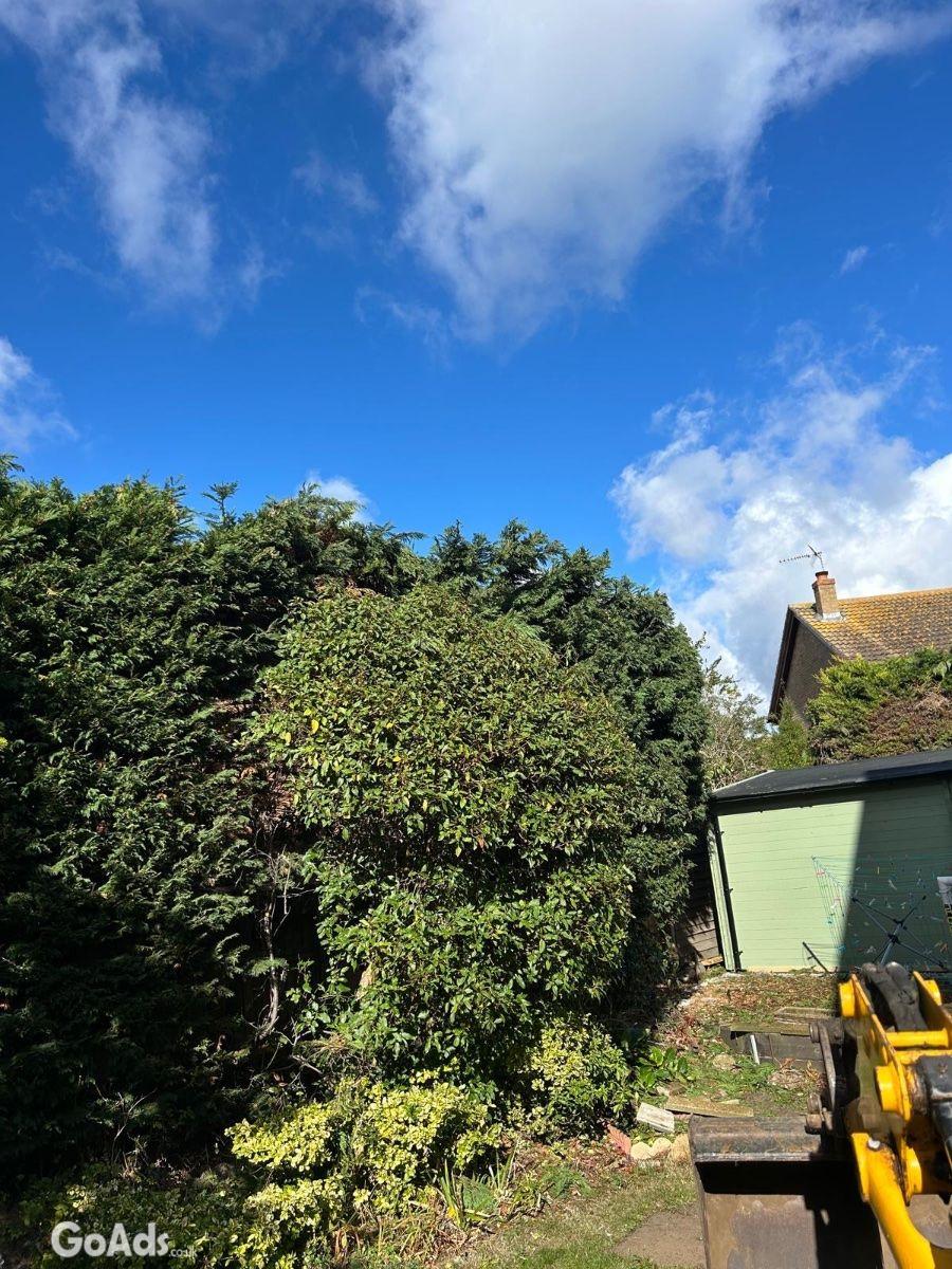 Tree care 4 you &. Landscaping