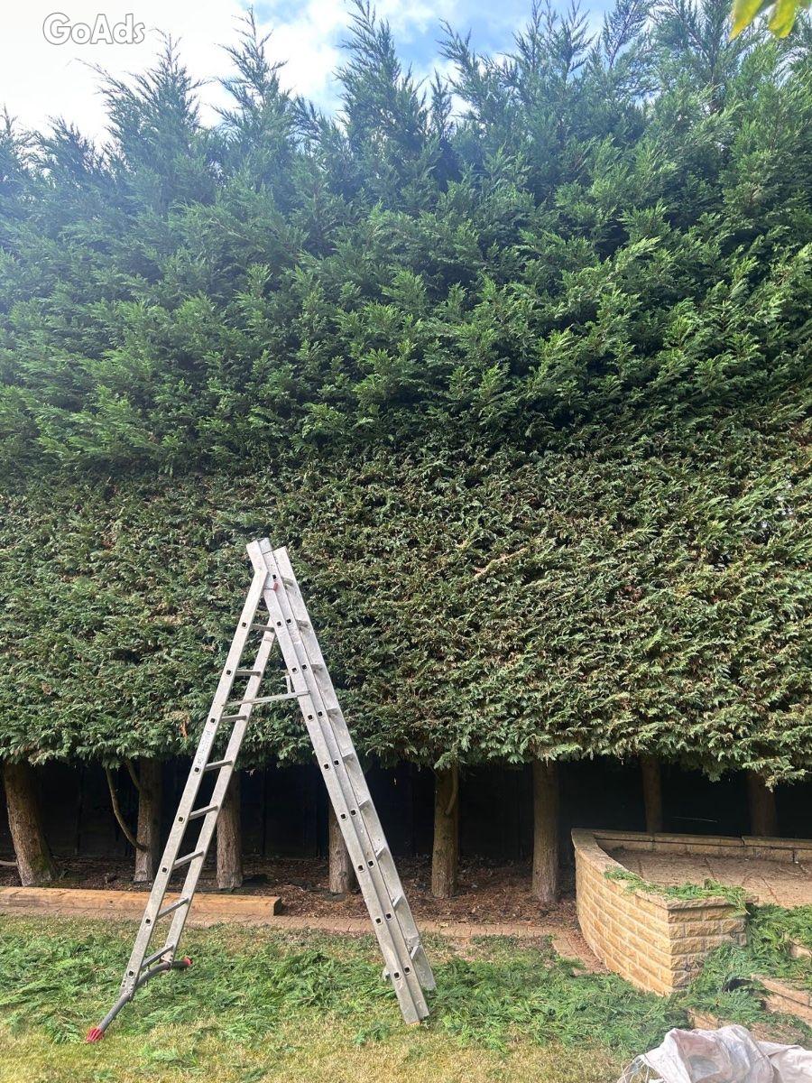 Tree care 4 you &. Landscaping