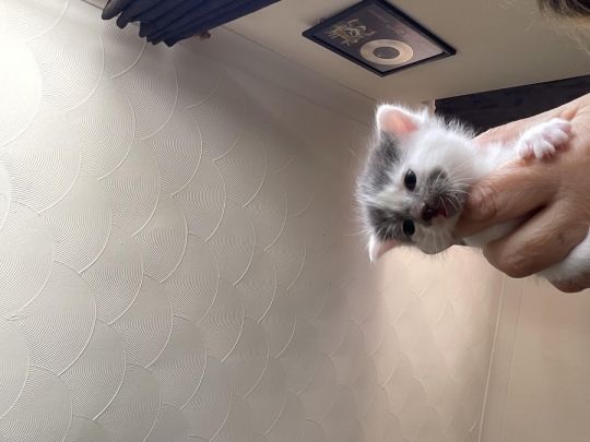 We all need homes