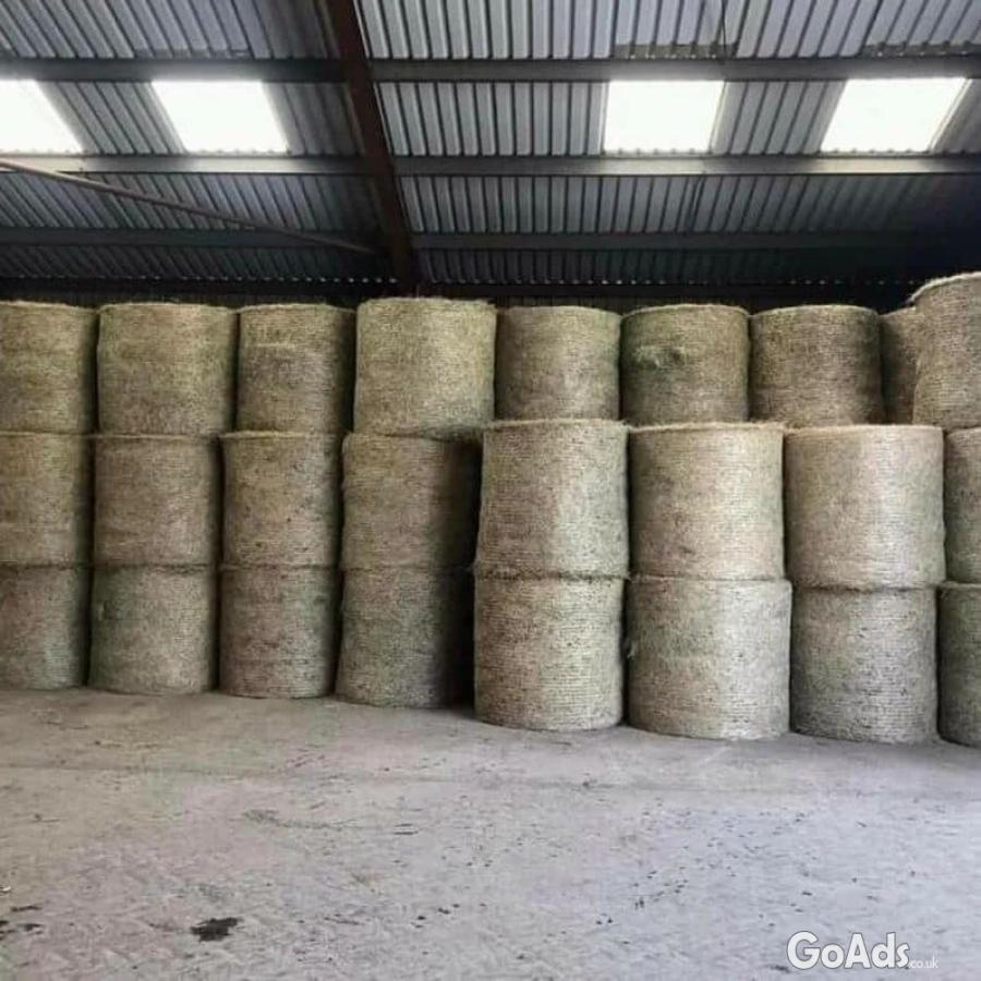 We Supply Alfalfa Hay Bale Grade A in Large and Small