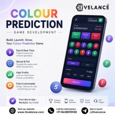 Why Choose a Colour Prediction Game Development Company for Your IGame
