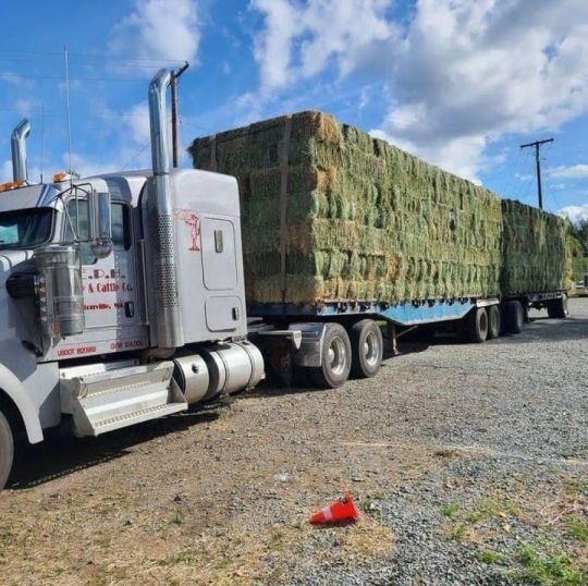 WOOD PELLET FOR ANIMAL HORSE BEDDING AND ALFALFA HAY FOR SALE